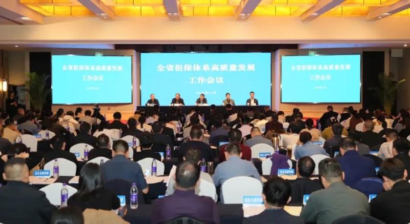 河南省担保体系高质量发展工作会议召开，80余家担保机构集体学习